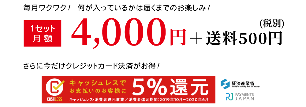 毎月わくわく、何が入っているかは届くまでのお楽しみ！月額4000円＋送料(税別)
