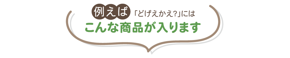 例えば「どげえかえ？」にはこんな商品が入ります