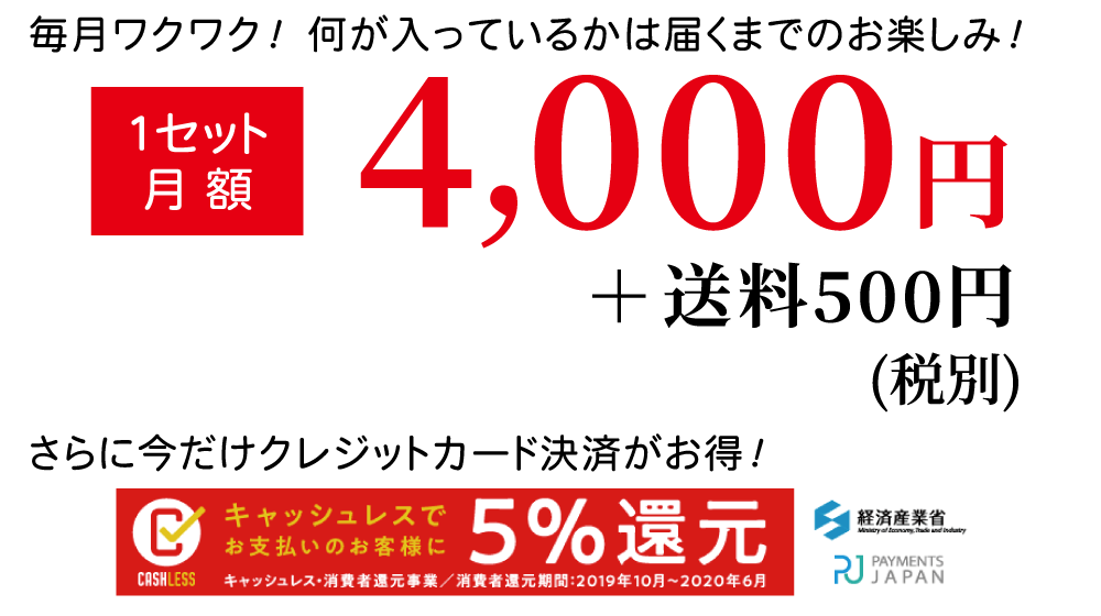 毎月わくわく、何が入っているかは届くまでのお楽しみ！月額4000円＋送料(税別)