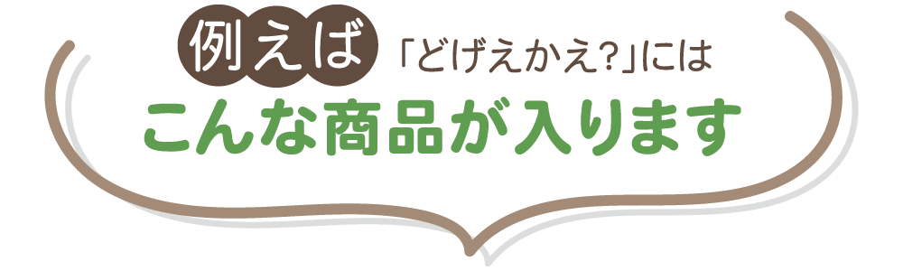 例えば「どげえかえ？」にはこんな商品が入ります